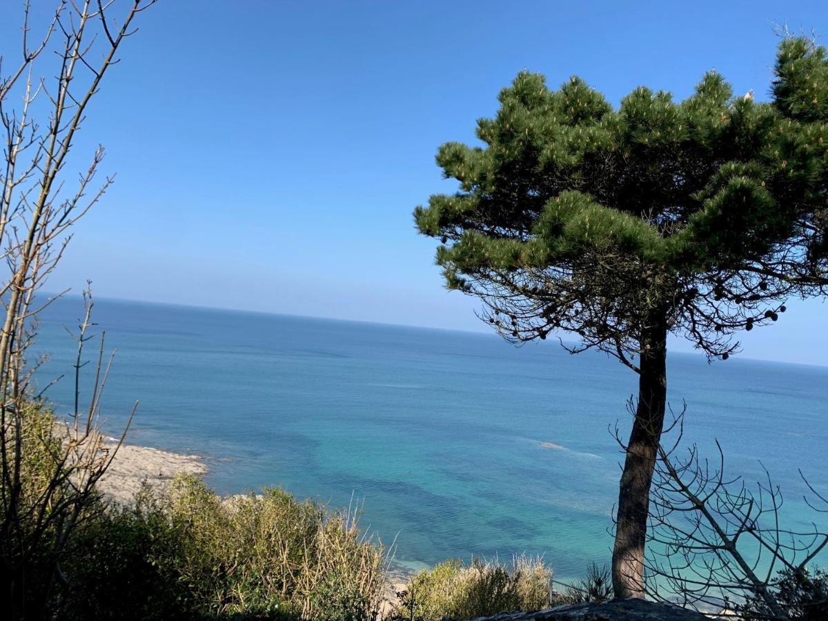 Appartement Villa Chausey, Vue Sur Le Port 그랑빌 외부 사진